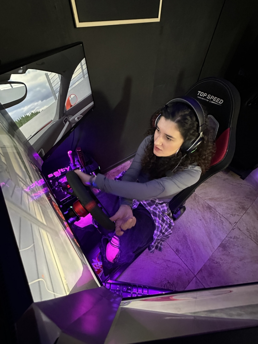 Picture of Racing simulator for group