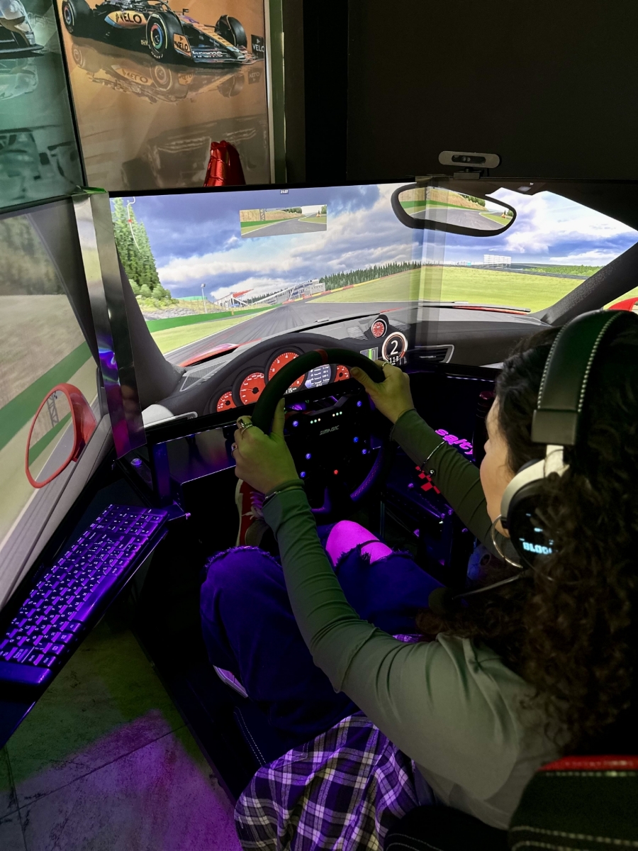 Picture of Racing simulator