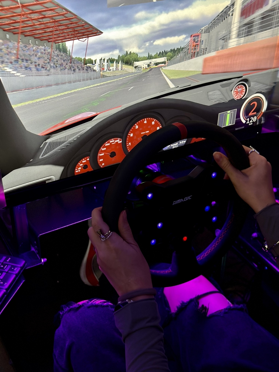 Picture of Racing simulator